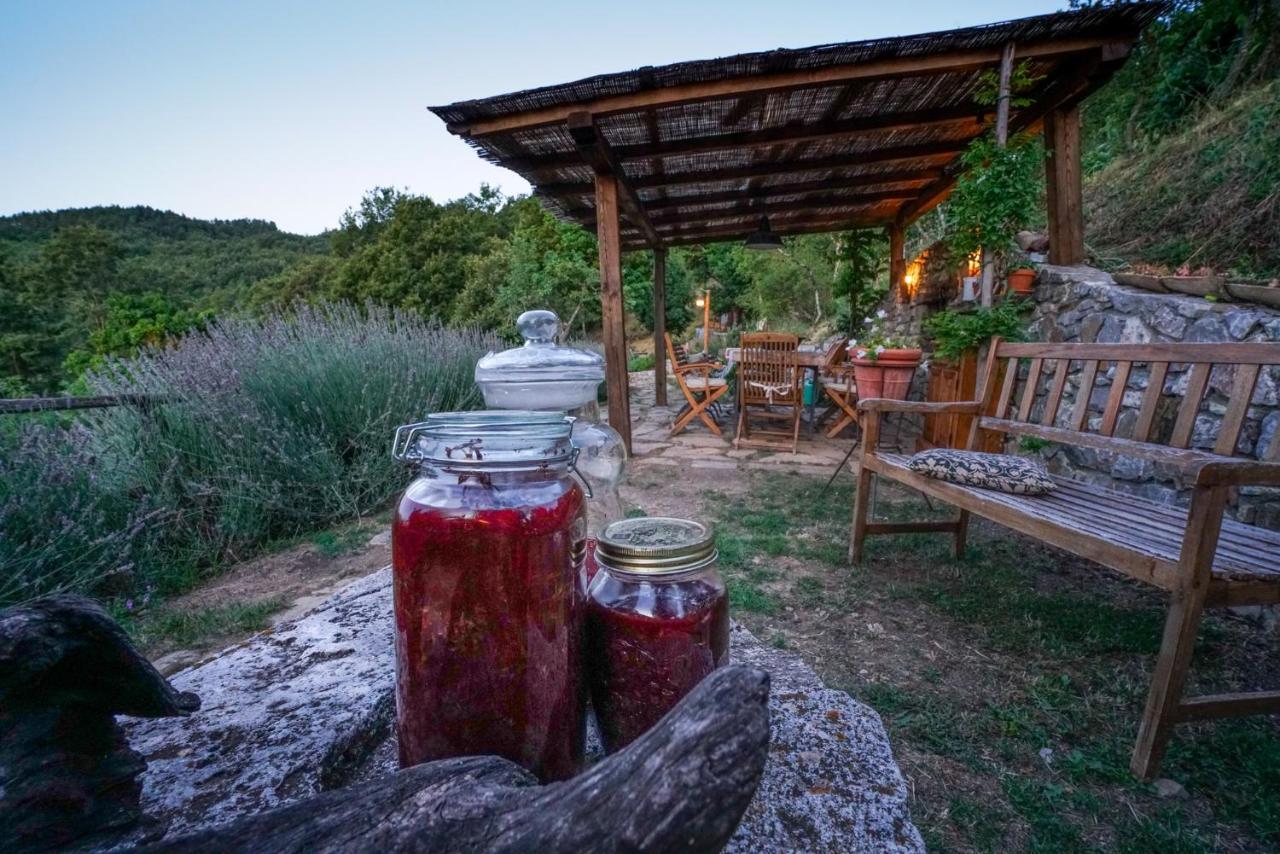 Agriturismo La Colombella Бани Сан Филипо Екстериор снимка