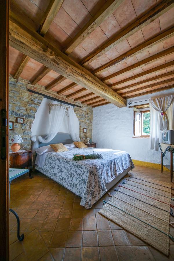 Agriturismo La Colombella Бани Сан Филипо Екстериор снимка
