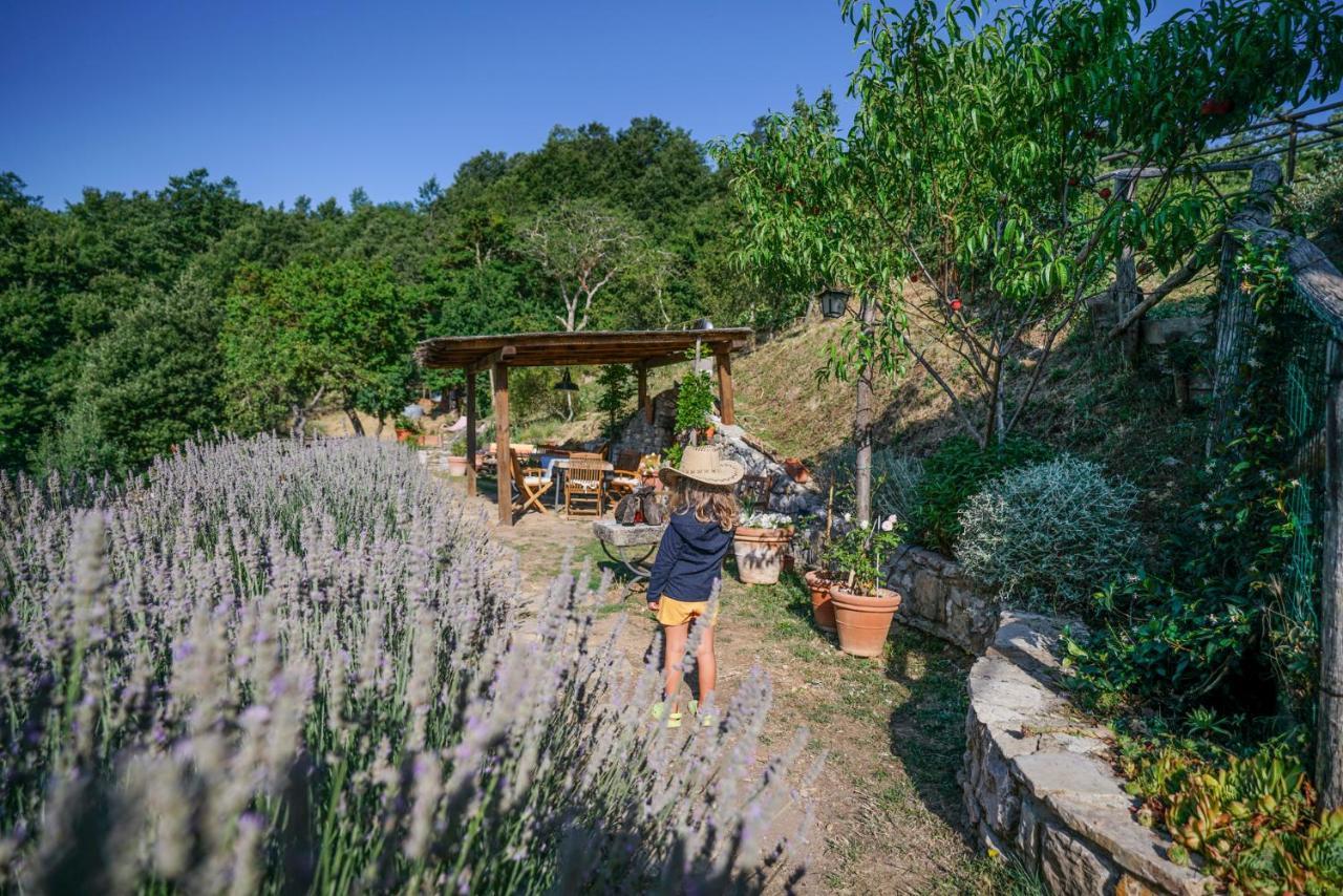 Agriturismo La Colombella Бани Сан Филипо Екстериор снимка