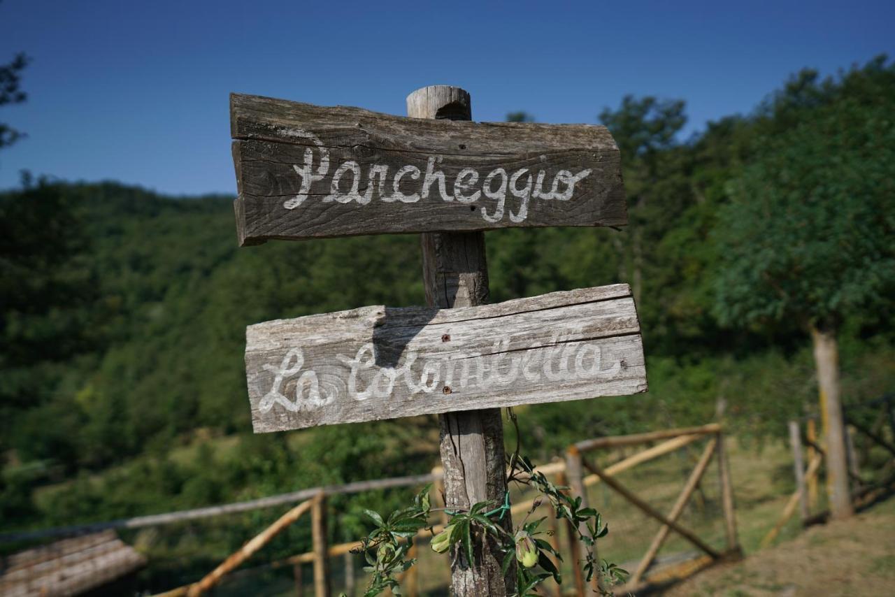 Agriturismo La Colombella Бани Сан Филипо Екстериор снимка