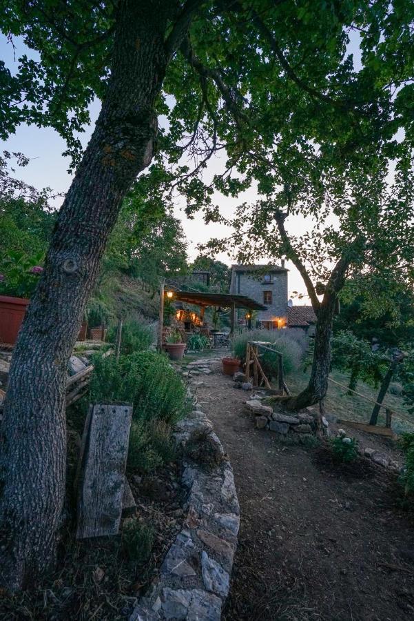 Agriturismo La Colombella Бани Сан Филипо Екстериор снимка