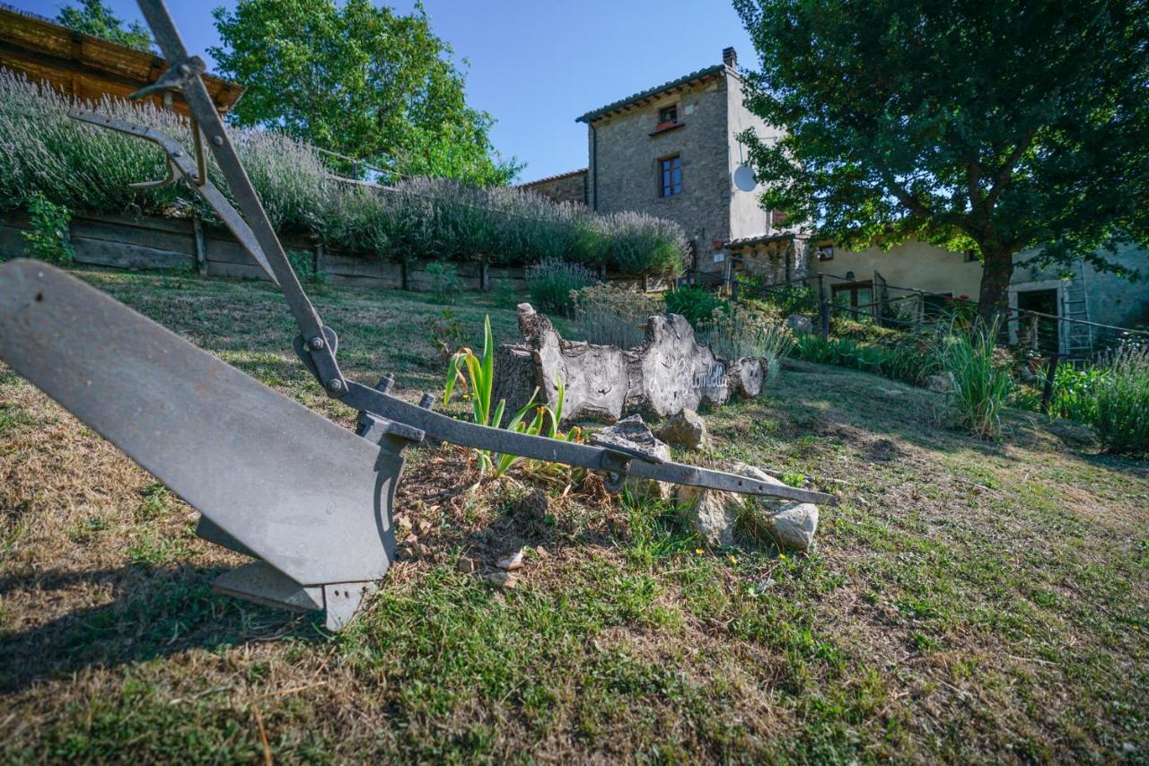 Agriturismo La Colombella Бани Сан Филипо Екстериор снимка